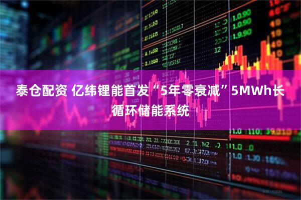 泰仓配资 亿纬锂能首发“5年零衰减”5MWh长循环储能系统