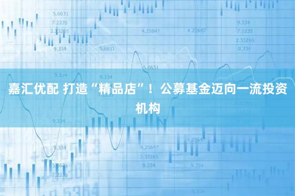 嘉汇优配 打造“精品店”！公募基金迈向一流投资机构