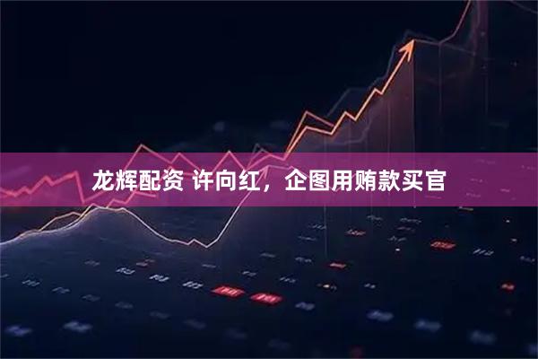 龙辉配资 许向红，企图用贿款买官