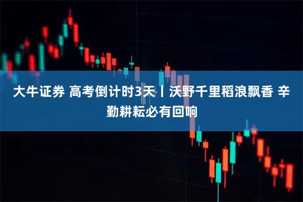 大牛证券 高考倒计时3天丨沃野千里稻浪飘香 辛勤耕耘必有回响