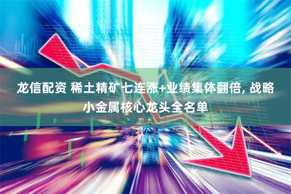 龙信配资 稀土精矿七连涨+业绩集体翻倍, 战略小金属核心龙头全名单